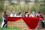 ampliar